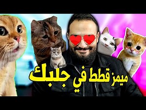 ميمز قطط مضحكة تستاهل تخلص عليها الباقة 😂