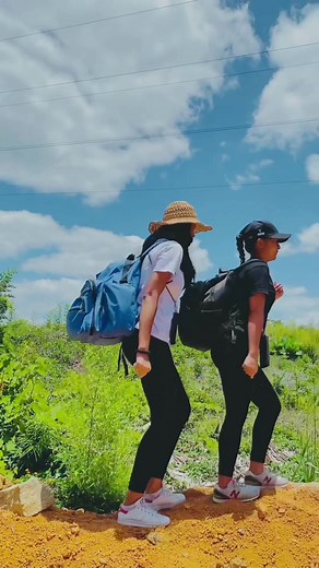 Exploring the Wonders of Madagascar's Jungle