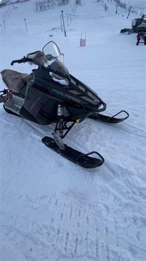 🎿Johannes.priv (@h0w_tf_did_u_find_my_acc)’s videos with original sound - Ceezy