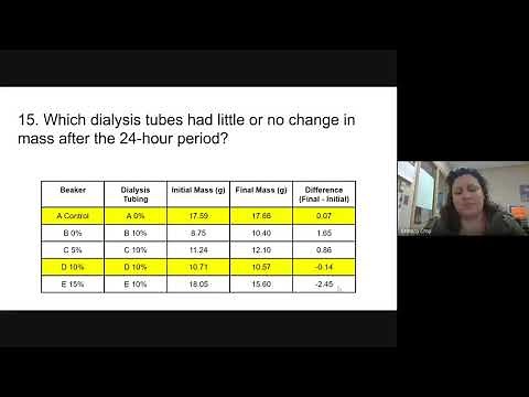 Virtual Cell Homeostasis Lab