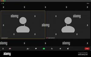 Video conference calls window overlay. User web video call window. Video conference icon. Mockup of remote conversation. Video call technology Stock Vector Image & Art - Alamy