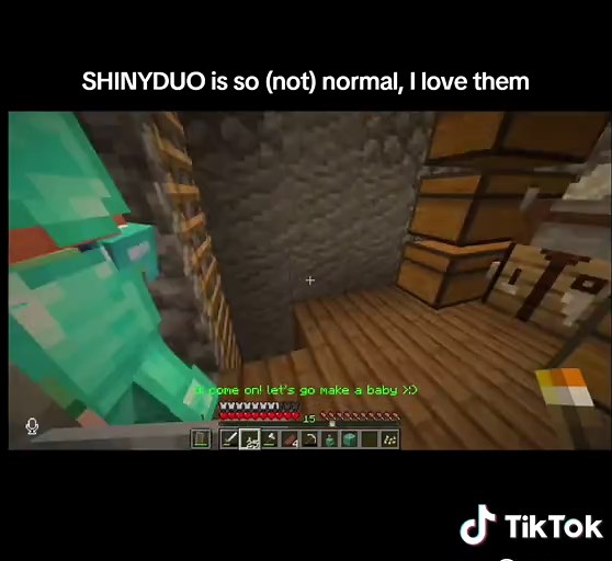 ShinyDuo Shenanigans in Season 11 of Hermitcraft