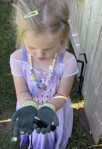 All about grubs! Just a princess and her love for bugs #bugs #bugslife #bug #bugsarefriends #toddlersoftiktok #toddlerlearning #grub #grubs #toddlertok #funny