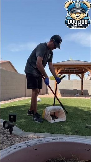 Phoenix Turf Transformation! 💩 Before & After Poop Scoop with Doo Doo Patrol