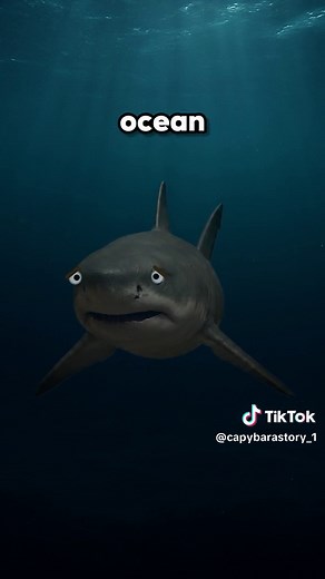 Megalodon sharks survived by eating their own siblings. #unitedstates #fyp #animal #Megalodon