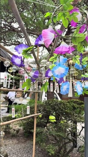 風鈴の音色を1分間聴くだけで即効性のあるリラックス効果が得られます