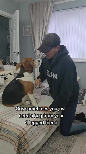 They're always there for us 😚🥹 (unless there's food around) #dog #beagle #dogs
