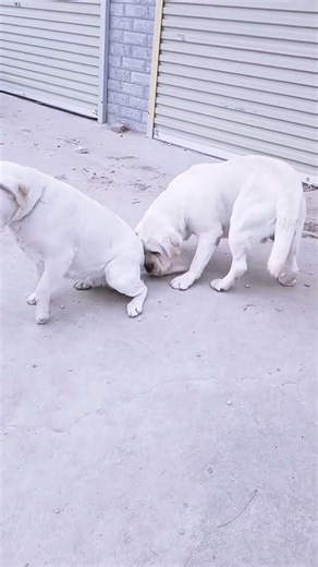 I'm strong if you let me know the taste#@ 9