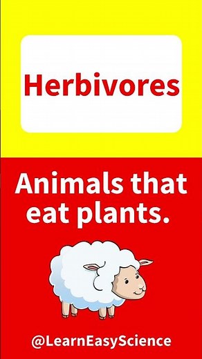 What is a HERBIVORE? 🤔 | Easy herbivore explanation & example