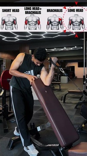 Biceps Day – Cable + Bench Control for Maximum Peak 💪