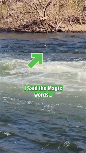 The Best River Fishing Rig To Effectively Fish Strong Current & Rapids: FATKAT Best Catfish Rigs!