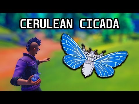 Where and when to find Cerulean Cicada - PALIA