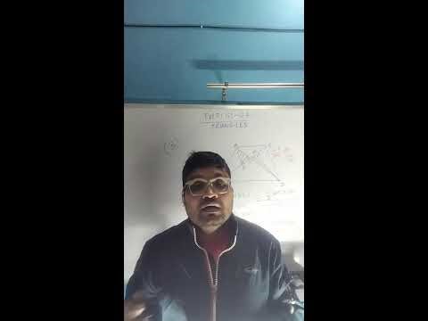Mathematics l Class 10th I NCERT l Exercise 6.4 I Triangles I Part 1