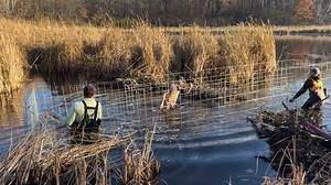 Pollinator Friendly Alliance on Reels