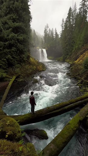 📍Oregon is home to some of the most beautiful waterfalls in America! ✨ Share this with someone who