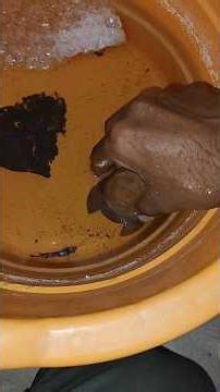 Betta Fish Breeding Day 2🐠 #shorts