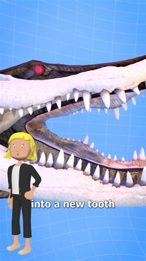 Alligators Can Regrow Their Teeth Forever (Here's Why) 😯