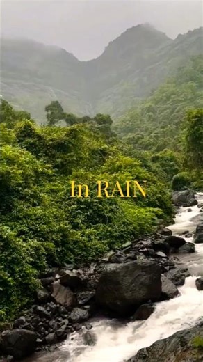 The beauty of rain ♥️⛈️ Monsoon Aesthetic kabhi kabhi x pal pal Rain full screen whatsapp status