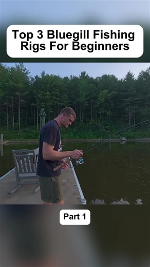 Top 3 Bluegill Fishing Rigs For Beginners Part 1