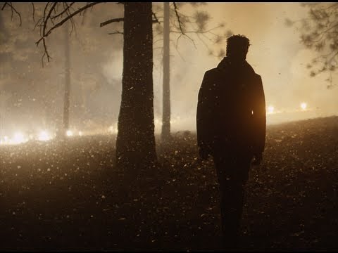 Bonobo - First Fires (feat. Grey Reverend) (Official Video)