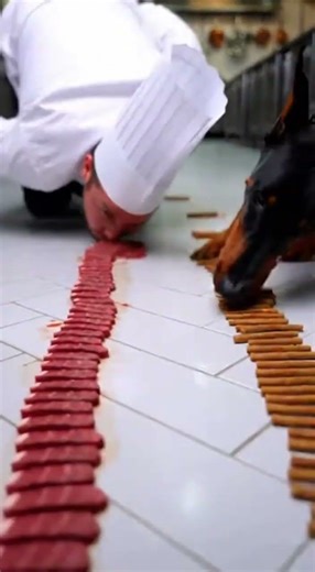 Bite Race Challenge between Man and dog #dogvshuman #helpmemakethismakesense #funny #biteraceshow