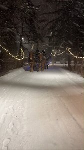 Join us on a Winter Wagon Ride this season and learn more about Fort Edmonton Park while you tour! One of our Historical Interpreters will be riding along with you to provide historical information about the sites you see, and answer any questions you have about the Park. Tickets are available now: https://www.showclix.com/event/2024-winter-wagon | Fort Edmonton Park