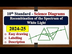 Recombination of the Spectrum of White Light diagram| DRAWING | LABELLING | SSLC | SCIENCE