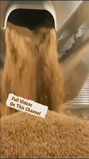 Inside a Modern Bread Factory