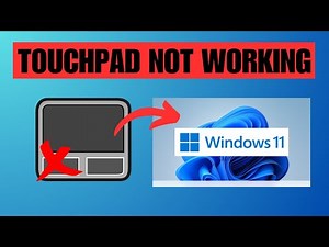 How To Fix Trackpad Not Working On Windows 11 Laptop