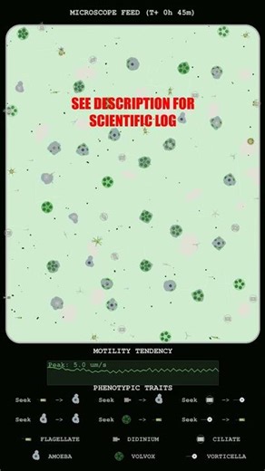 Kinetics of Volvox Aggregation and Didinium Swarming