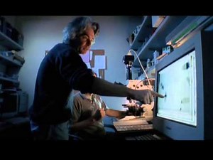 Amazing Dogs : Documentary on Dogs and the Human Obsession with Canines (Full Documentary)