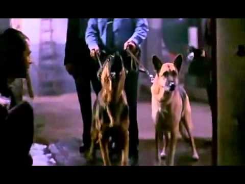 The Relic (Peter Hyams, EEUU, 1997) - Official Trailer