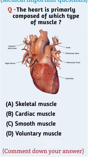 Heart Is Made of Which Type of Muscle? 💓 | Most Asked Biology Question #biology #health #shorts