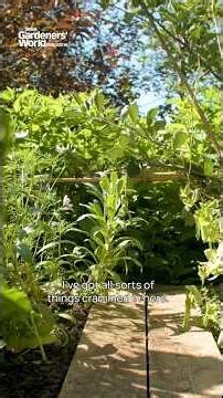 Inside Carol Klein's PRIVATE garden