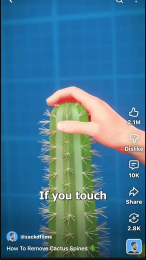 Zack D. Films Meme Part 2 #shorts #zackdfilms #memes