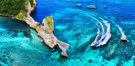 Polen Capital – large company growth: process