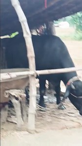 😍😍😍😍😂😂😂