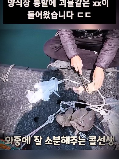 양식장 통발에서 잡힌 괴물 같은 물고기
