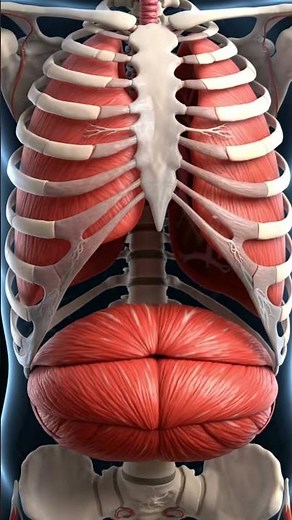 Why Do Hiccups Happen and How Can You Stop Them?