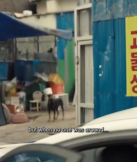 Title: Oh My Ghost (2015) 😰🔪👮🏻‍♂️ ***A shy chef gets possessed by a flirty ghost who wants to settle her unfinished business. Later, they discover the ghost was murdered & the real killer is a cop. #kdrama #kdramalover #romance #crime #Ghost #fypシ゚ #everyonefollowers #followersreels #follower #followersシ゚ #followforfollowback #trendingvideo #viralchallenge #fypageシ | Ellaine Clips