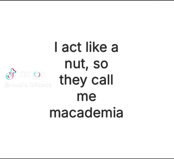 Macadamia Nut Song from Animaniacs
