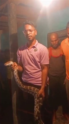 big python snake🐍