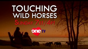 After a car accident that claimed his father and sister's lives and left his mother in a coma, a young man is sent to live with his reclusive aunt on Sable Island, a world-renowned wild horse preserve. Enjoy tonight's Great Movie "Touching Wild Horses" at 7pm ET and 9pm PT! onetv.ca/shows/touching-wild-horses/ Don't miss ONE on Free Preview all month long! Watch on Rogers 265, Rogers Ignite 340, Bell TV 606, Bell Fibre 1606, Shaw Direct 420, Cogeco 798, Eastlink 659 or find your channel here: on