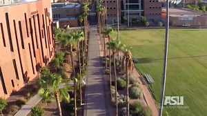 149K views · 2.1K reactions | New palm trees along iconic ASU pathway to provide Medjool dates and more shade. | Arizona State University | Facebook