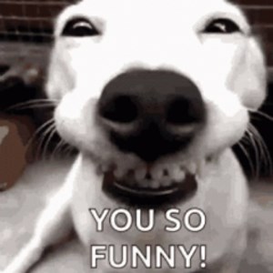 fdghjbfdsdfg - Twitch