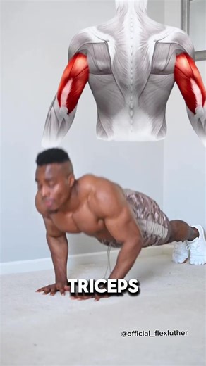 Training your back at home doesn’t have to be complicated. Grab a pair of dumbbells, focus on strong rows, and build a powerful back anywhere. Start today, no excuses. 💪 #HomeWorkout #BackDay #DumbbellTraining #StrengthAtHome #FitnessMotivation