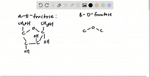 SOLVED:Draw the structures of the individual mutarotating αand βanomers of maltose.