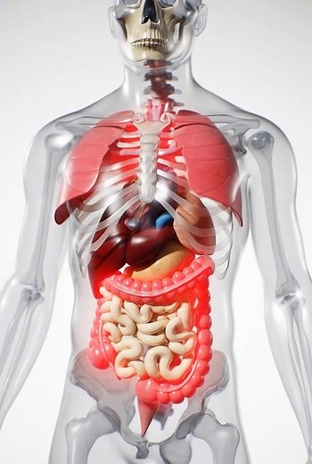 3D MEDICO - Medical Animations and Visualizations