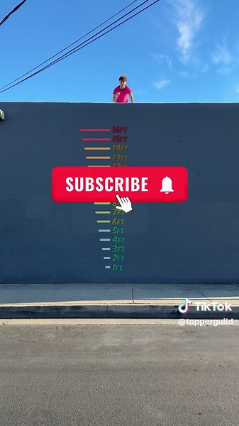 Which Ball Will Bounce The Highest? | Ball