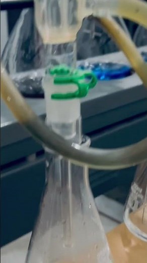 Crude Protein Determination by Kjeldahl’s Method in Protein powder,DDGS, DOC, DORB, Animal feed,etc.
